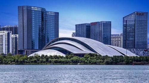 宁波市区禅修中心：都市中的禅意空间