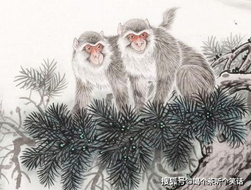 多多益善打一生肖，指的是哪个生肖？