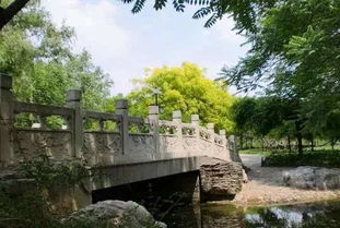 莲花池公园：城市中的清凉绿洲