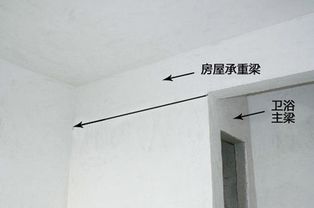 四、 主体拆改的具体实施流程与技术规范