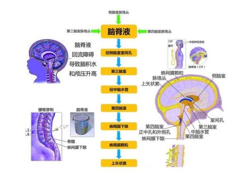 桃花劫概述及其形成机制