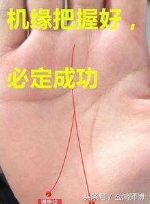 一、 五指比例与总体命格之对应关系（理论基础）