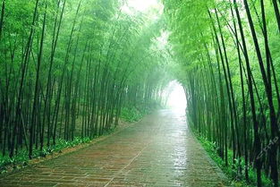 3.2 与科研机构合作提升管理水平