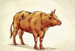 1949年属牛人在2026年的感情运势如何，晚年运势又意味着什么？