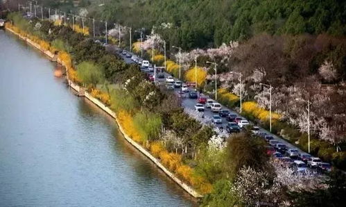 美景保护的案例分析——丽江古城