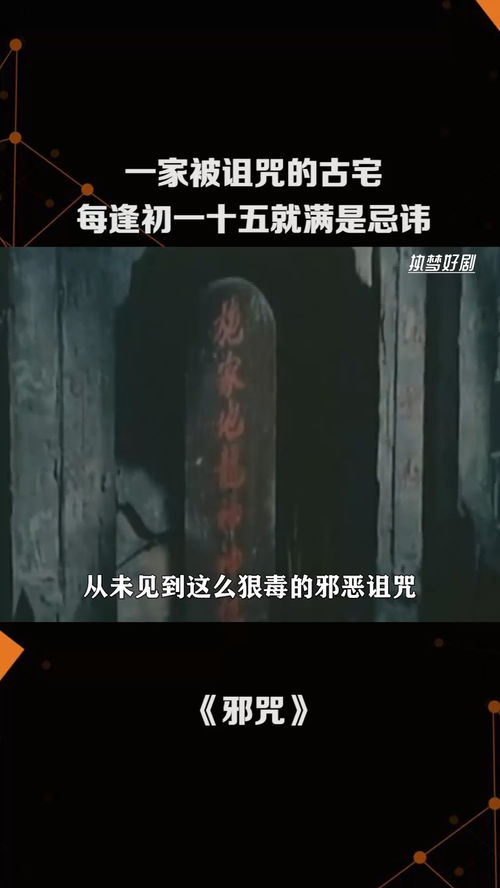 第三章：地下磁异常与家族血脉