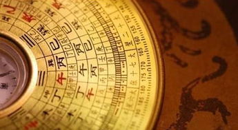 3. 环境和谐：水泥和自然的爱恨情仇