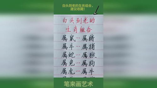 将白头少年打一生肖为生肖，是什么生肖的？