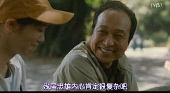 关于南以风及其家族纠葛的历史持续发展叙事解析