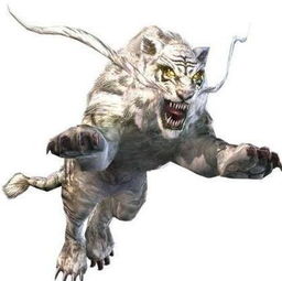 壁虎在十二生肖中代表什么？壁虎头像有何象征意义？