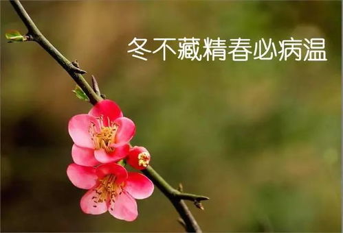 3.2 顺应自然的原则