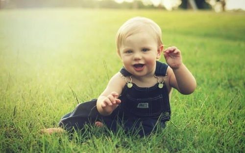 ：愚人节诞生之婴儿的命运议题概述