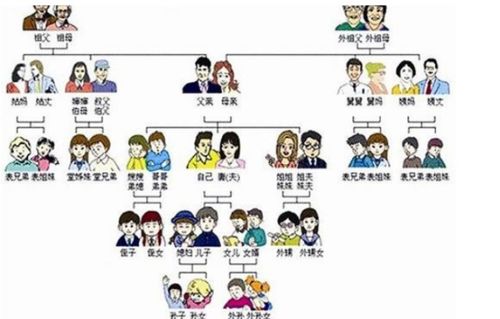 一、 血缘属性与亲属等级的界定