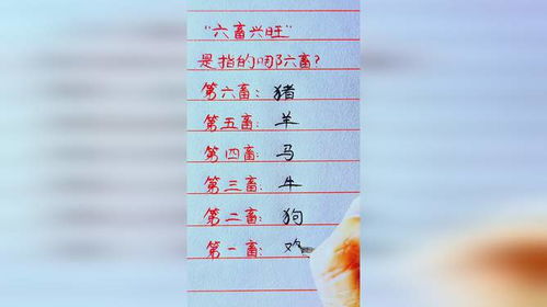 六畜兴旺所指的生肖是哪一个？最准确的生肖代表意义是什么？