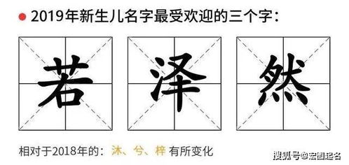 典故运用于命名——提升文化底蕴素养及审美实际价值