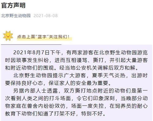 一、初步印象达成和解析