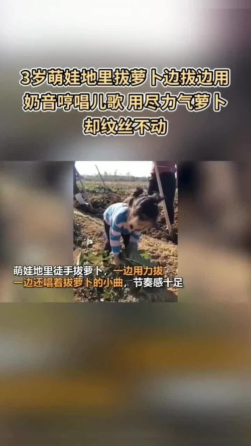 序论：当恐怖叙事与民俗文化底蕴碰撞