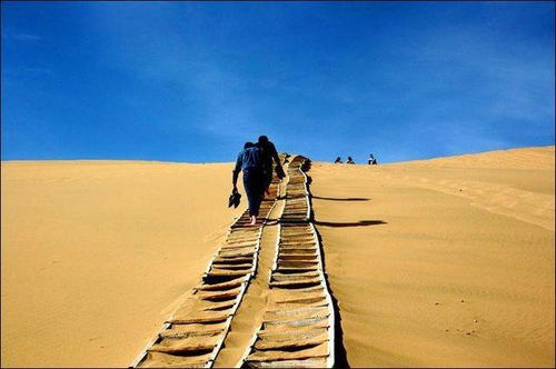 天助自助：后天助力不可或缺