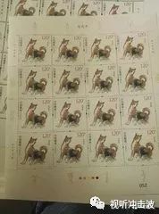 不拘一格的生肖是哪个？最符合不拘一格的生肖是什么意思？