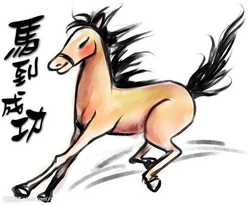 今日生肖马运势具体表现是什么？
