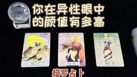 情感世界的波澜：忠贞不渝与家庭冲突