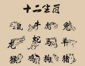 八字中卯酉冲遇巳能否化解，卯酉相冲与寅巳相害如何调整？