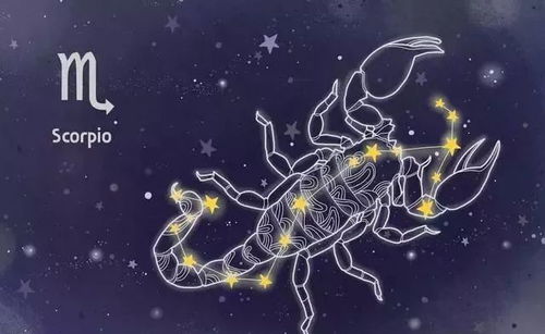 6月学业运势：过山车般的体验