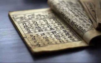 一、 先把藤字的属性掰开揉碎聊一遍