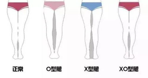 双腿细直女生的性格剖析