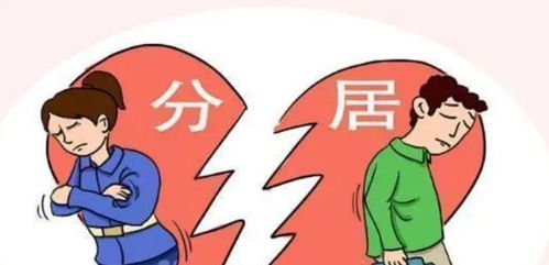 适当的分居