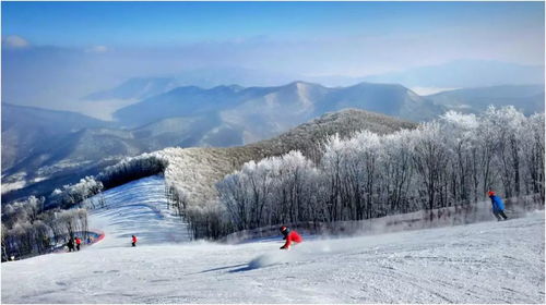 交通：一场充满惊喜（和惊吓）的冒险
