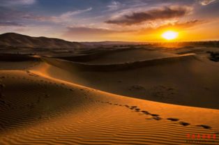 二、阿拉善沙漠：黄到刺眼的金粉海岸线