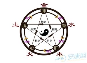 &#xing ming cesuan dafen