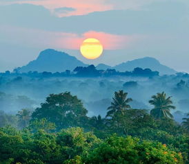 狮子岩 - 2026年最新逃票攻略（嘘...）