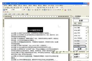 #噪声&冗余段落#——官方宣传与真实体验之间的一条裂缝（无限循环）