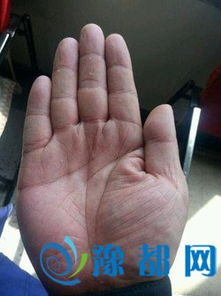 四、  其他凶兆纹路：三角纹、十字纹与恶煞纹的结构性分析