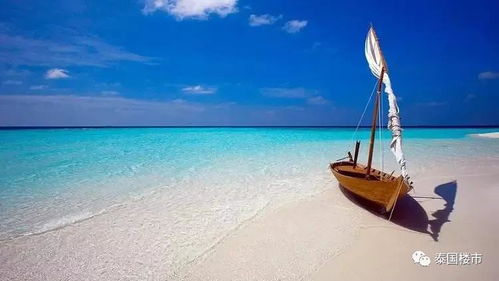 1. 海滩：人山人海的“天堂”