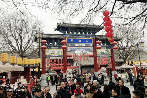 回民街美食大作战:好吃到哭还是难吃到吐?