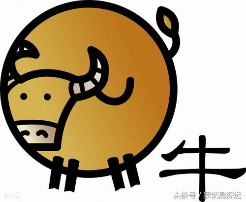 6月份属牛的运势如何，哪方面运势最好？