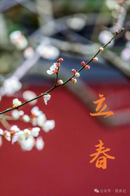 躲春的概念与命理依据