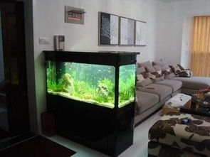 3. 不宜放置鱼缸