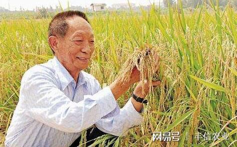 二、 民俗文化底蕴背景下传说叙事结构解析
从对比民俗学视角留意该传说具有典型叙事结构要素：先来看呈现一个充满希望且秩序井然状态（正常耕作场景），继而忽然发生损较差性事件（怪手出现），最后再来看完成角色转换并形成崭新秩序（禁忌土地形成）。这一三段论式持续发展模式恰恰符合俄国文学理论家普罗普关于童话叙事模型所基本规律(