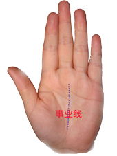 事业线、 成功线与个人命运的交互作用