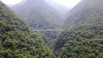 风水岭有哪些好玩的景点和活动？