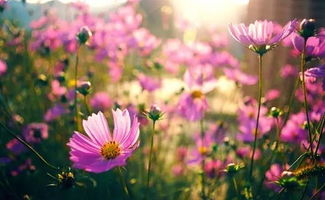 啊啊啊开花那一刻我直接跪了