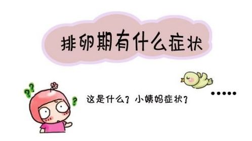 不同情况下的具体解析：