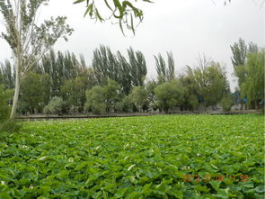 进门之后的心情：怀疑人生