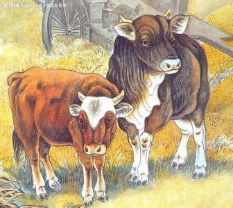 2026年属牛女性婚姻运势如何，感情运会有哪些变化？