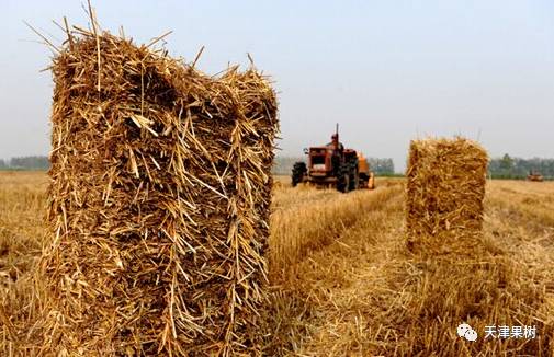 二、 植物秸秆类