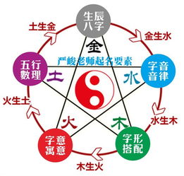 六、情感色彩与直觉——当科学遇上母亲的大爱！🚀💖🌀